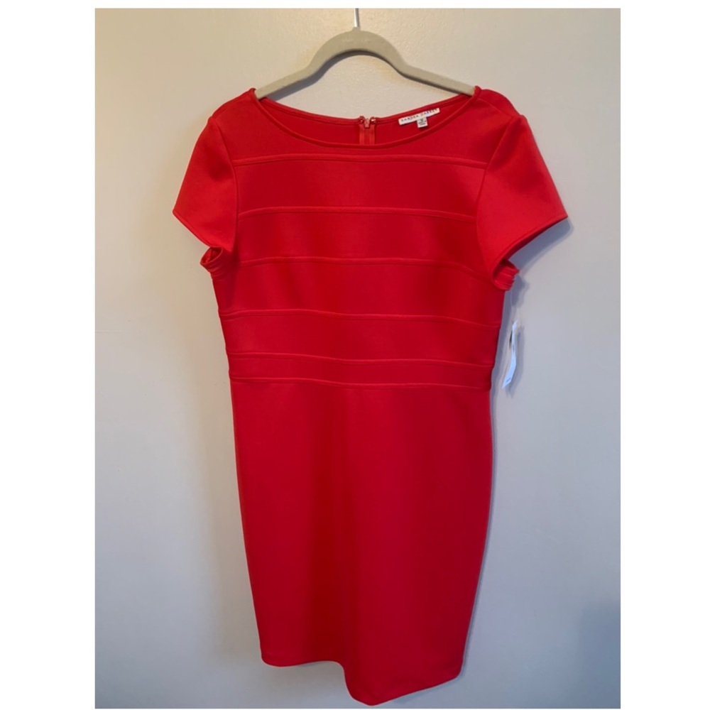 BRAND NEW- SANDRA DARREN DRESS- women’s size 12